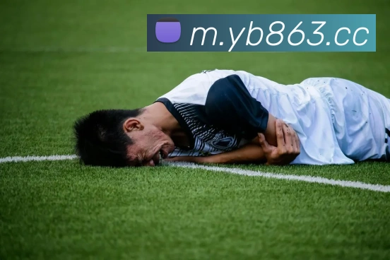 yabo体育APP 封面图